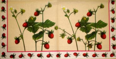 021 Berry (21)